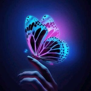 Meet your Posher, Debra